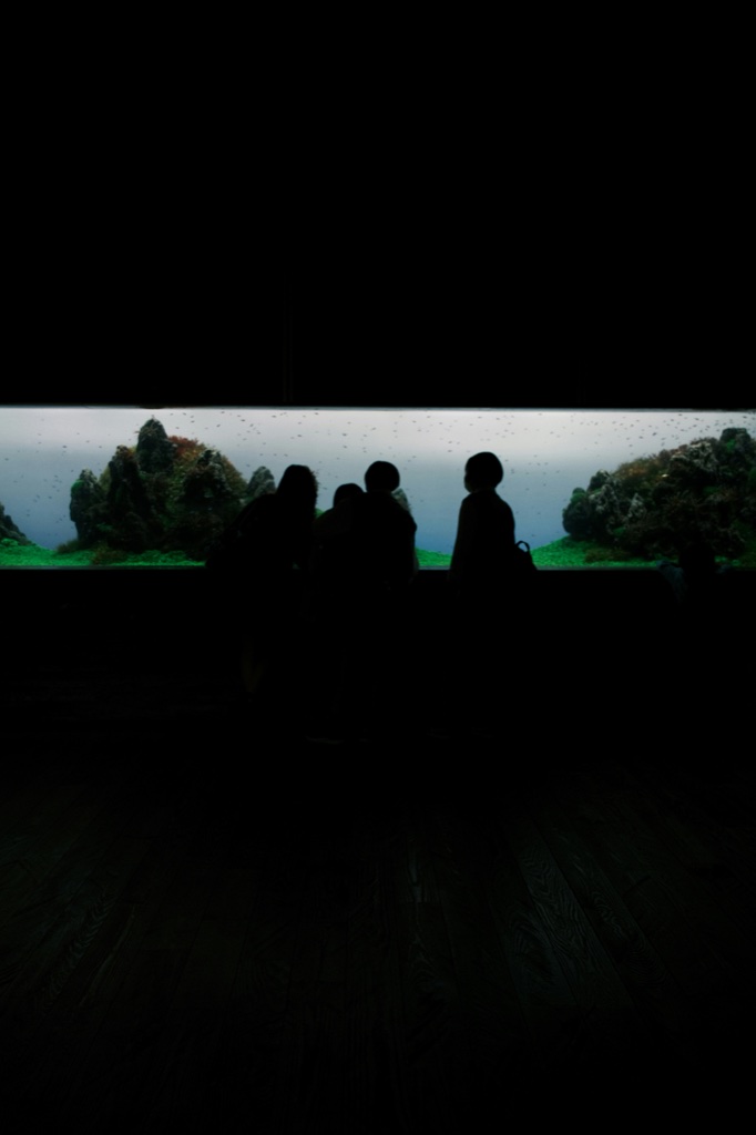 Four people stand in silhouette in a dark room in front of a long illuminated aquascape, mounded green hills and pale rock visible through the glass.
