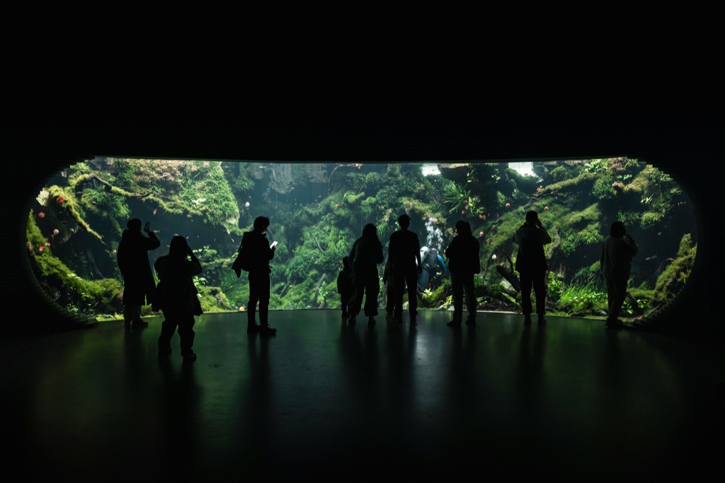 Eight people stand in silhouette in a dark hall in front of a very wide oval aquascape of mossy slopes, submerged wood and a small waterfall, its light reflected in the polished floor.