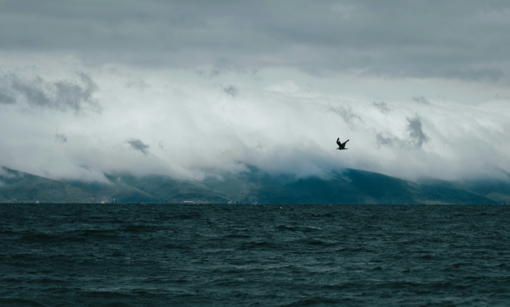 A bank of low cloud pours over a dark green ridge across choppy grey water, with a single bird in flight against it.
