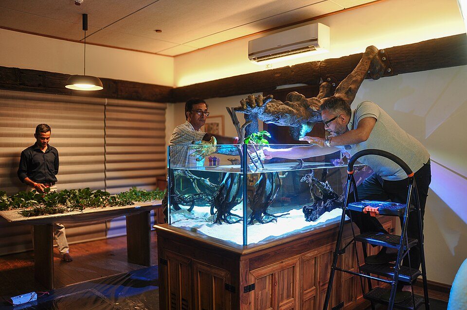 People planting an aquarium together