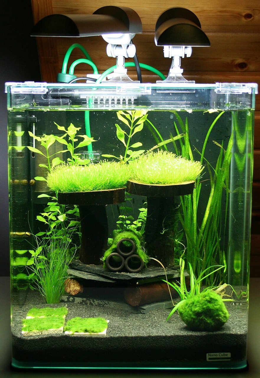 A planted nano aquarium with equipment A planted nano aquarium with equipment